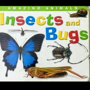 "Insects & Bugs"- An Amazing Animals Book